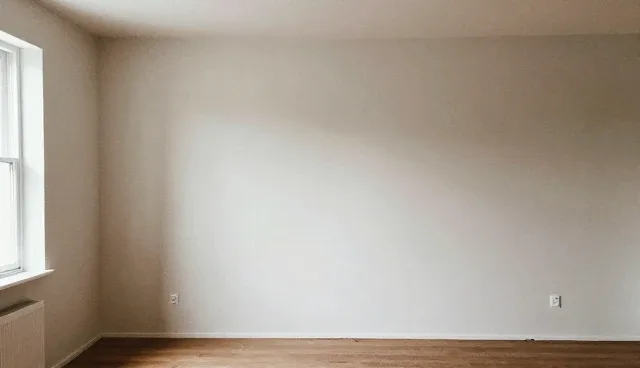 支持按区域的应用场景适用情况与限制