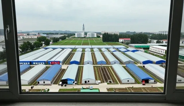 分类管理如何影响企业名录查询的性能与适用场景