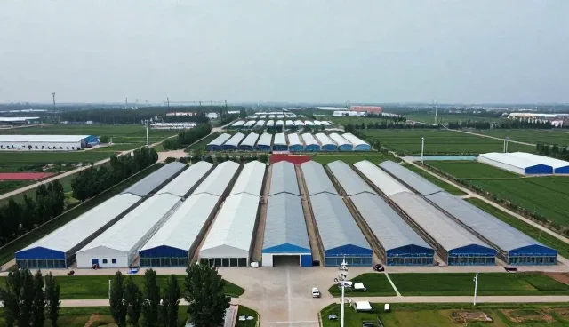 企业选型中区域支持功能的实践价值分析